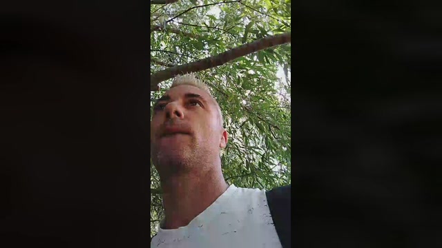 emanuele033  21-08-2022